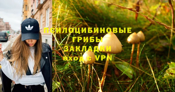 дживик Елабуга