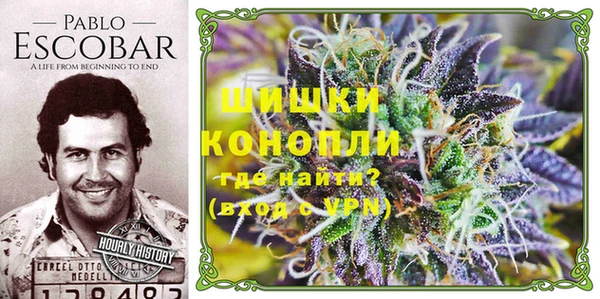 дживик Елабуга