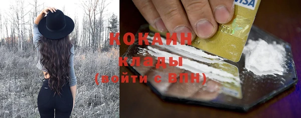 дживик Елабуга