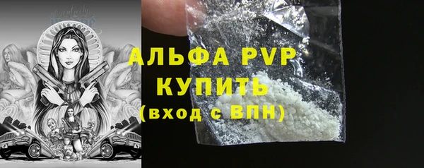 дживик Елабуга