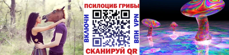 Купить закладки  Наро-Фоминск  Псилоцибиновые грибы мухоморы 